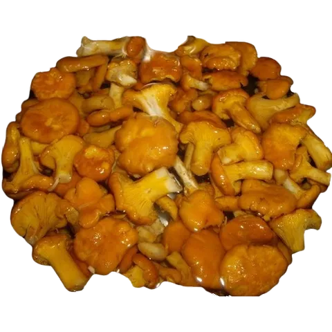 Белфорест -соленые